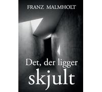 Det der ligger skjult: En roman om ansvar