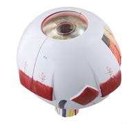 Detachable Anatomical Model of Human Eyeball for Educational Science (6-fold)