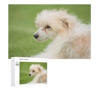 Detailed Chinese Crested Dog Jigsaw Puzzle, 1000 PCS, for Adults, A Creative Way to Unwind after A Busy Day, for Cosy Nights Indoors