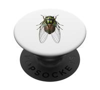 Detailed Cicada Insect Entomology Nature Design PopSockets Adhesive PopGrip