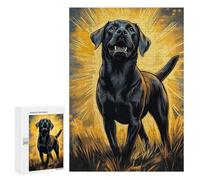 Detailed Radiant Black Labrador Portrait Jigsaw Puzzle, 300 PCS, for Adults, A Creative Way to Unwind after A Busy Day, for Creative Downtime