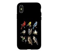 Detailed Scientific North American Bird Species Case for iPhone X/XS