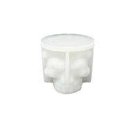 Detailed Skull Casting Mold, A