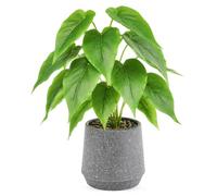 DETENE Fake Pothos Plant, Small Faux Potted Green Houseplant Tabletop Decor | Artificial pothos, grey terrazzo pot, realistic textured leaves, no watering, decorative indoor houseplant for home & office