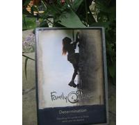 Determination (Family Times Virtue Packs) vol. 4 issue 2