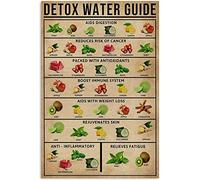Detox Water Guide Vintage Aluminum Metal Tin Sign Retro Wall Decor 6x8