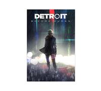 Detroit Become Human Game Canvas Poster Wall Art Decor Print Picture Paintings for Living Room Bedroom Decoration Unframe-style 12x18inch(30x45cm)
