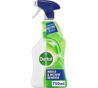 Dettol Anti-Bacterial Mould and Mildew Remover, 750 ml