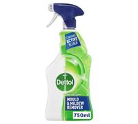 Dettol Mould and Mildew Remover 750ml 71815