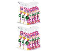 Dettol Antibacterial Multipurpose Cleaner Flower Power 750Ml (Pack Of 12)