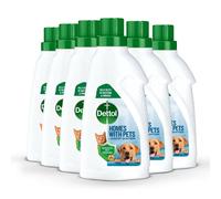 Dettol Laundry Sanitiser, Homes with pets, Fresh
