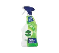 Dettol Mould & Mildew Remover 750 ml