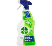 Dettol Mould and Mildew Remover - Wilko