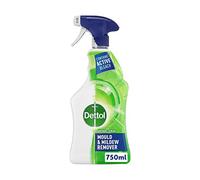 Dettol Anti-Bacterial Mould and Mildew Remover, 750 ml