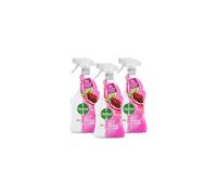 Dettol Power and Fresh Pomegranate and Lime Multi Purpose Spray 1000ml x3