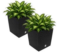 Deuba® 2x Plant Pots, Outdoor & Indoor Planters, 32x32x33cm, Anthracite | 35L Square Planters & Garden Pots, Rattan Effect Plastic Plant Pots for Patio, Balcony & Home Decor, Flower Pot Garden Set