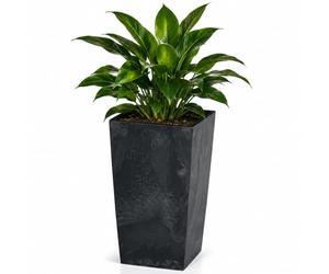 Deuba® Tall Plant Pot, Large Planter, Concrete Effect Garden Box, Grey | Tall Planters for Outdoor & Indoors, Large Plastic Flower Pots, Indoor Plant Pot & Garden Pots with Removable Shelf Insert