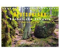 DEUTSCHLAND, Sächsische Schweiz Nationalpark, Märchenwald (Tischkalender 2026 DIN A5 quer), CALVENDO Monatskalender: Moos, Felsen, Magie - Wald wie im Traum