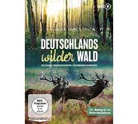Deutschlands wilder Wald: Das geheime Leben der Rothirsche & Naturwunder Schorfheide