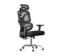 DEVAISE Office Chair, Ergonomic Office Chair with 4D Segmented Support Backrest, W-Shaped Cushion, 5D Armrests Headrest Adjustable, Mesh Chairs for Home Office, 180kg Capacity, Black