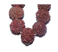 DEVAMA THE DIVINE Pure 5 Mukhi Rudraksha Mala (17-20mm, Big Size, 108+1 Beads, Brown)