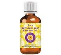 Deve Herbes Pure Bay Laurel Leaf Essential Oil (Laurus nobilis) Non-Sticky | Non-Greasy | Fresh Herbal Aroma | for Aromatherapy, Massage & DIY Use | Steam Distilled 15ml