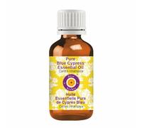 dève herbes Pure Blue Cypress Essential Oil (Callitris intratropica) Natural Therapeutic Grade Steam Distilled 5ml (0.16 oz)