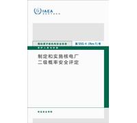Development and Application of Level 2 Probabilistic Safety Assessment for Nuclear Power Plants