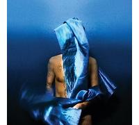 Devendra Banhart - Flying Wig