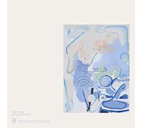 Devendra Banhart - Vast Ovoid [VINYL]