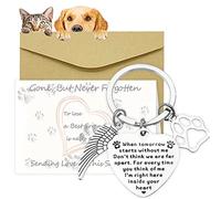 Devenirriche Pet Memorial Gifts Loss of Pet Remembrance Keychain Memorial Dog Keyring Sympathy Gifts with Condolence Card Envelope for Pet Dog Cat Lover Memorial Keyring Angel with Paws