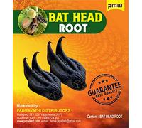 Devil Pod - Evil Pod - 2 Pcs - for Good Health Wealth and Happiness