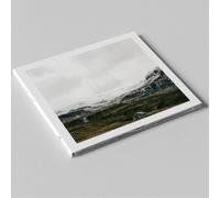 Devil Sold His Soul - Loss