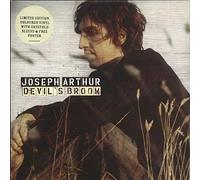 Devil's Broom [7" VINYL]