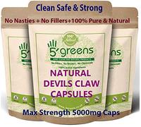 Devils Claw Capsules 10:1 Extract (5000mg Equivalent) | 120 Vegetarian Capsules| 5greens
