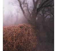 Devil'S Trade,the - Nincs Szennyezetlen Szép (Ltd Your Pieces Scattered Lp) [VINYL]