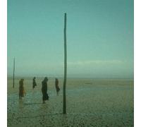 Devil's Witches - In All Her Forms