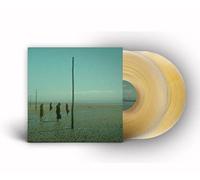 DEVIL'S WITCHES - IN ALL HER FORMS GOLD/CLEAR MARBLED VINYL - DLP - V - Z72z