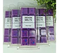 Devon Melts - Ghost Type - Highly Scented 100% Soy Wax Snapbar