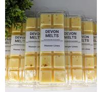 Devon Melts - Hoover Lines - Highly Scented 100% Soy Wax Snapbar