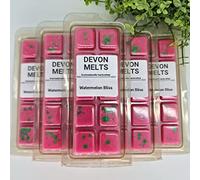 Devon Melts - Watermelon Bliss - Highly Scented 100% Soy Wax Snapbar
