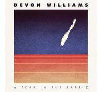Devon Williams - A Tear In The Fabric (LP) [VINYL]