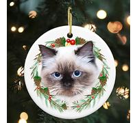 DEVONART Ragdoll Cat Ornament, 3" Porcelain Round Hanging Christmas Tree Decor, Funny Cute Cat Pets, Multiple Occasions