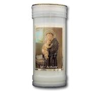 Devotional Candles Devotional Candle - Saint Anthony,Multicolour,medium