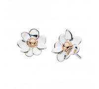 Dew Silver Anemone Flower With Rose Gold Plate Stud Earrings