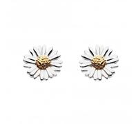 Dew Sterling Silver Daisy with Gold Plate Stud Earrings 4081GD016