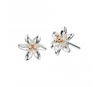 Dew Sterling Silver Tiger Lily with Rose Gold Plate Stud Earrings 4083RG024