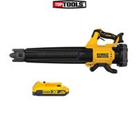 Dewalt DCMBL562 18V XR Brushless Axial Leaf Blower With 1 x 2.0Ah Battery