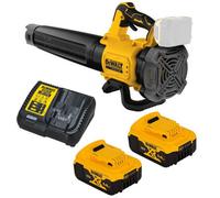 Dewalt DCMBL562P2 18v XR Brushless Axial Blower + 2 x 5.0ah Batteries + Charger