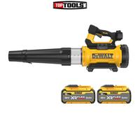 DeWalt DCMBL777 54V XR Brushless Axial Blower With 2 x 15.0Ah Batteries